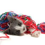 Wrapped Up in Yarn