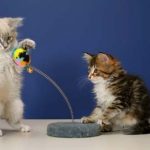 Playing with ball on a spring