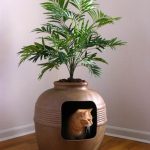 Cat Under Planter
