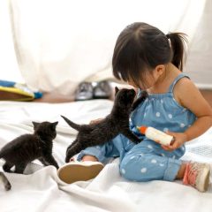 Little Girl Feeds Kittens