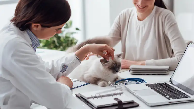 Behavior Assessment at the Veterinarian's Office