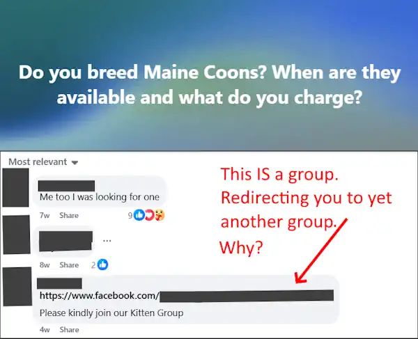 Redirecting to Another Scam Page